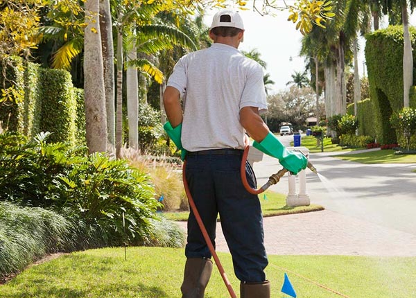 About Capron VA Pest Control